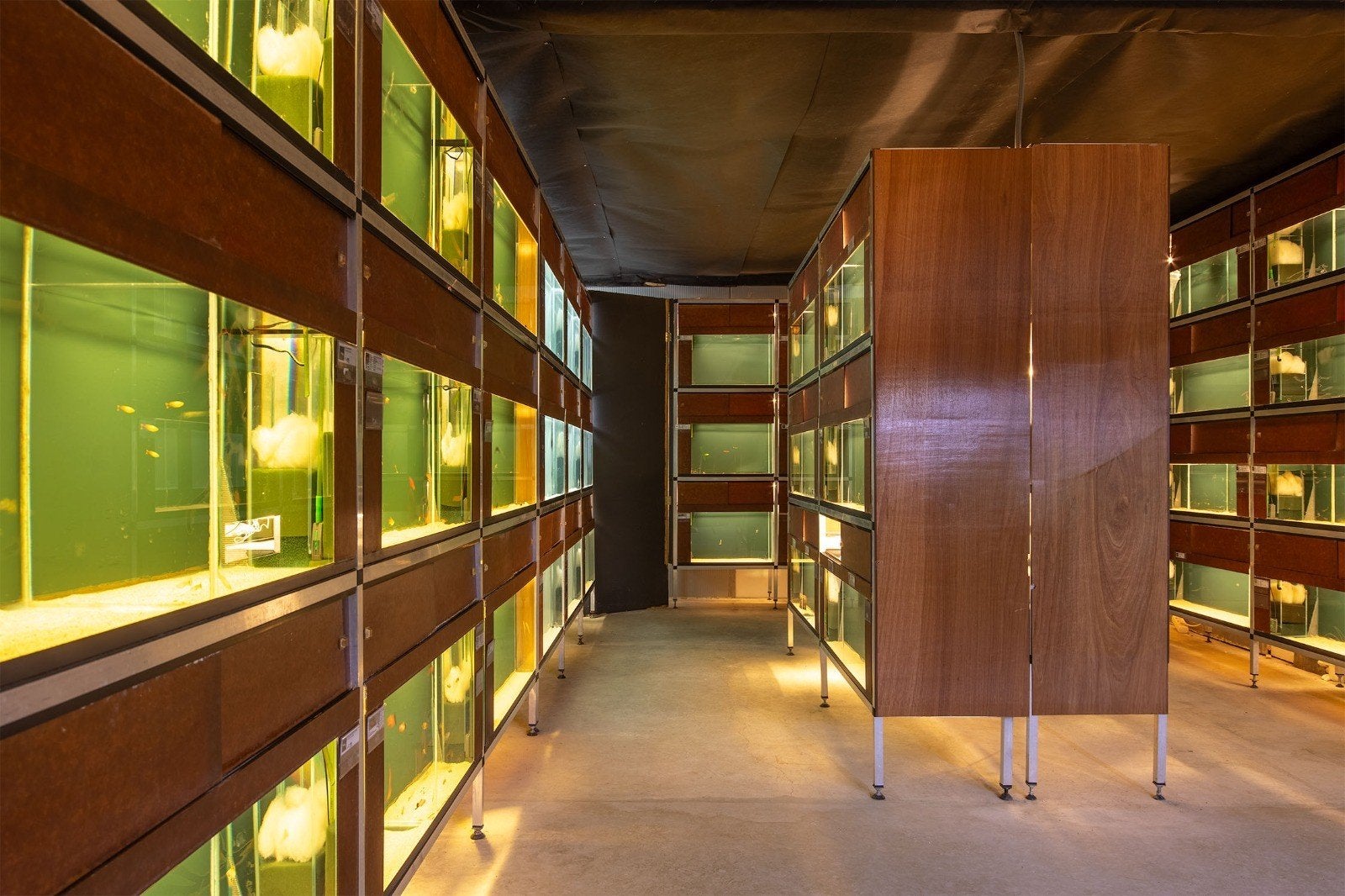 Aquariumstelling, Ophalen, Leeg aquarium