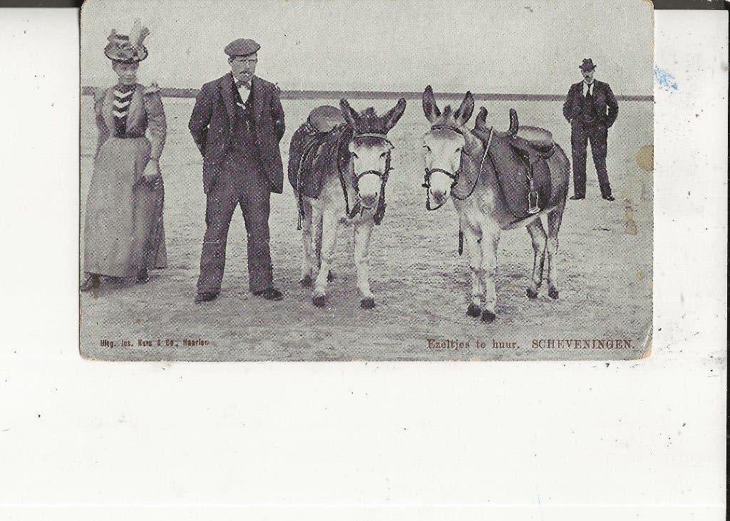 Scheveningen Ezeltjes te huur Tulpkaart Jos Nuss, Ophalen of Verzenden, Voor 1920, Ongelopen, Zuid-Holland