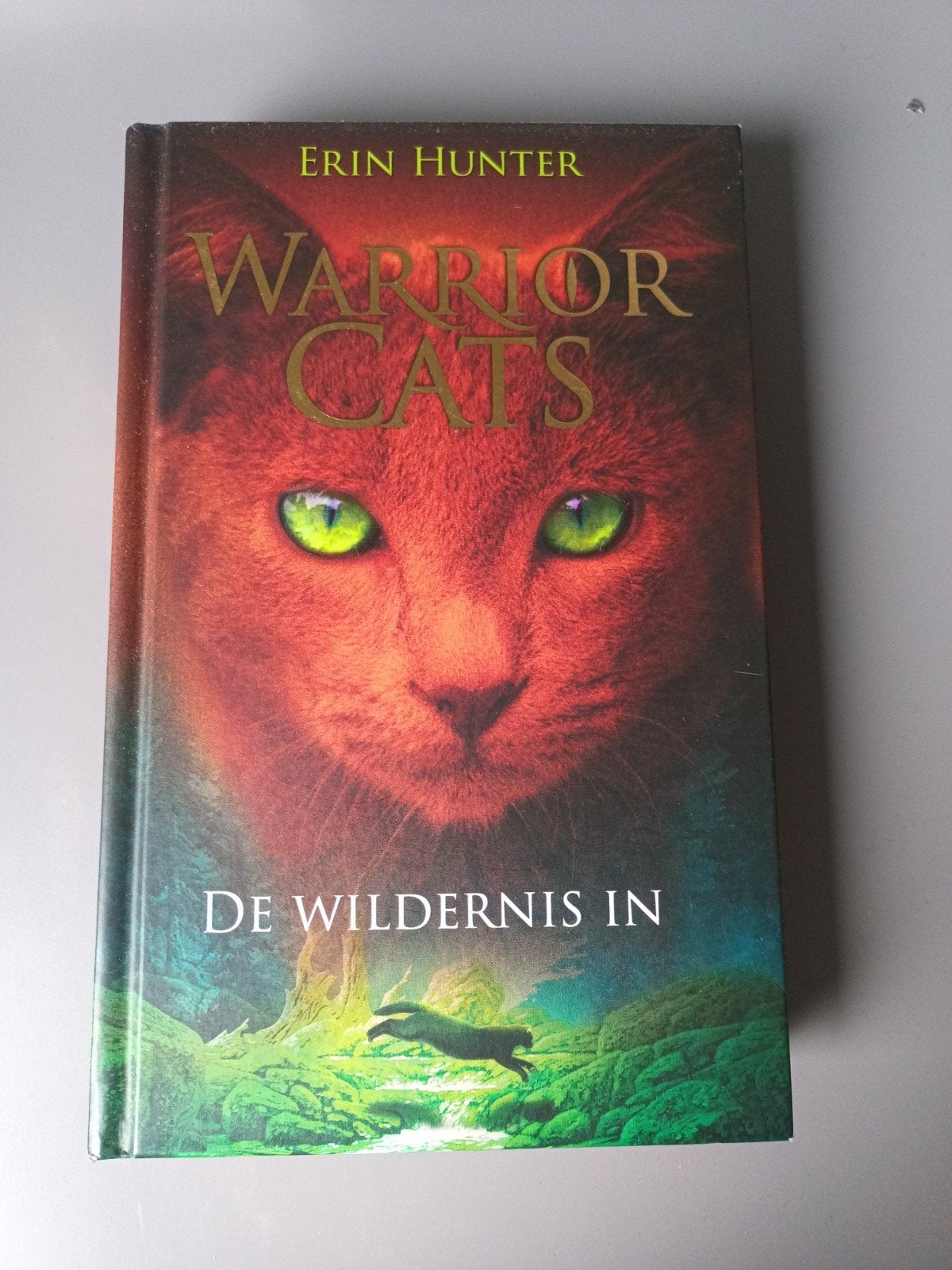 Warrior Cats: De Wildernis In - Erin Hunter, Ophalen of Verzenden, Zo goed als nieuw, Erin Hunter, Fictie