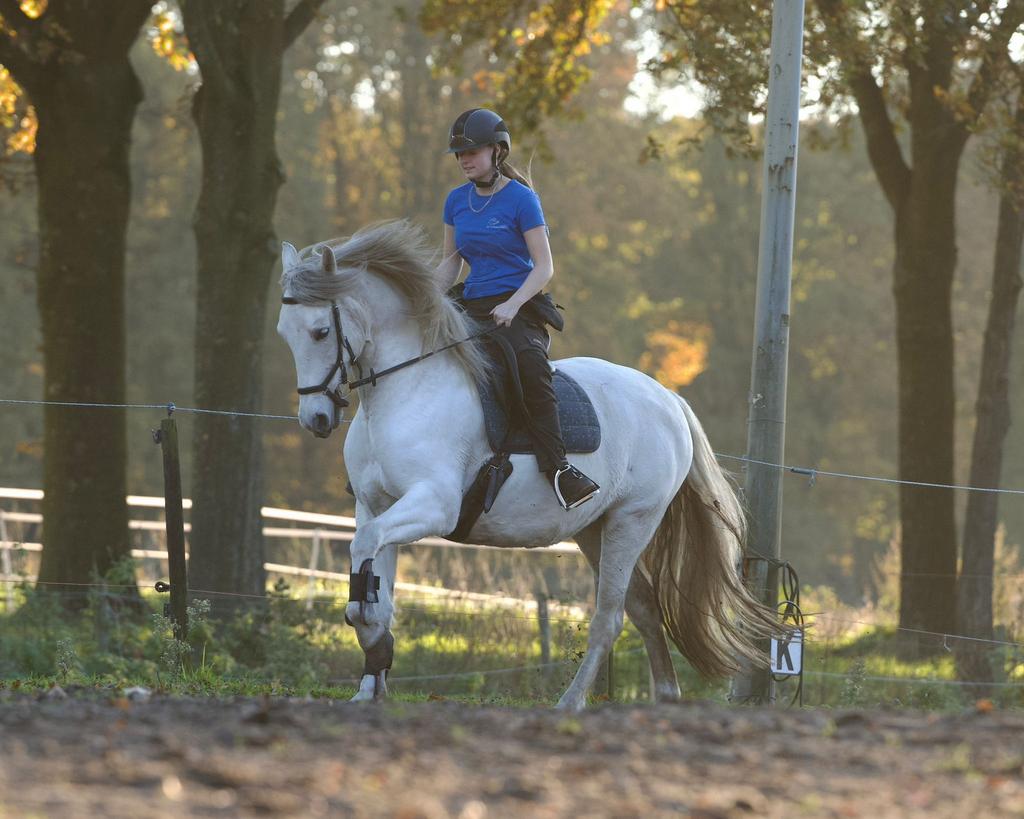 Te koop E pony spaanse witte merrie 11 jaar , 1,57cm, Dieren en Toebehoren, Pony's, Merrie, L, E pony (1.48m - 1.57m), Dressuurpony