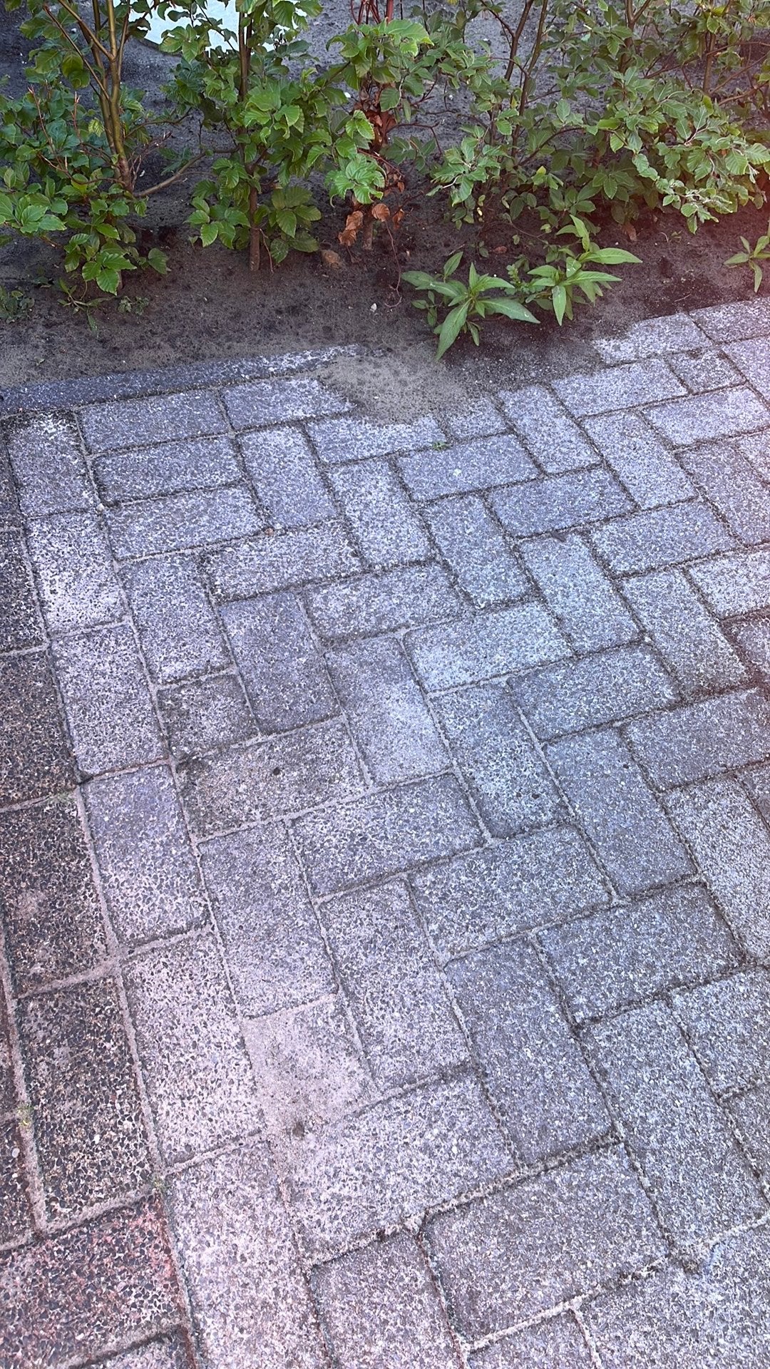 Gratis 3m2 klinker 10x20x5cm, Ophalen, Gebruikt, Klinkers, Minder dan 5 m²