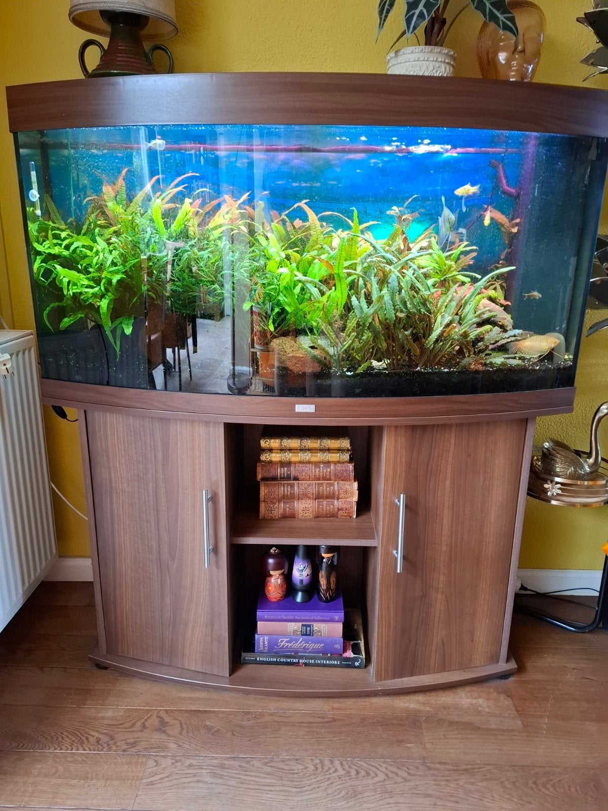 Compleet Juwel Vision 260 aquarium, Dieren en Toebehoren, Ophalen, Inclusief vissen, Juwel, Gevuld zoetwateraquarium