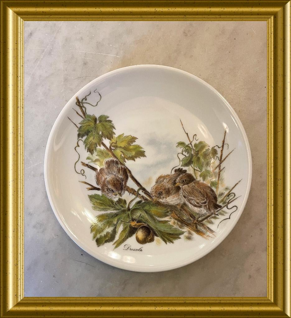 Vohenstrauss Johann Seltmann Bavaria porseleinen vogel bord, Antiek en Kunst, Ophalen of Verzenden