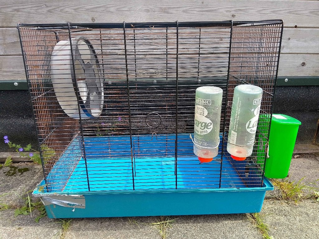 Rattenkooi (L 70,5 x D 45,5 x H 58), Dieren en Toebehoren, Knaagdieren en Konijnen | Hokken en Kooien, Gebruikt, Minder dan 75 cm