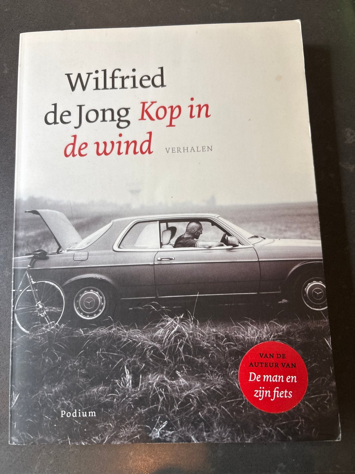 Wilfried de Jong - Kop in de wind (Verhalen), Ophalen of Verzenden, Zo goed als nieuw, Nederland