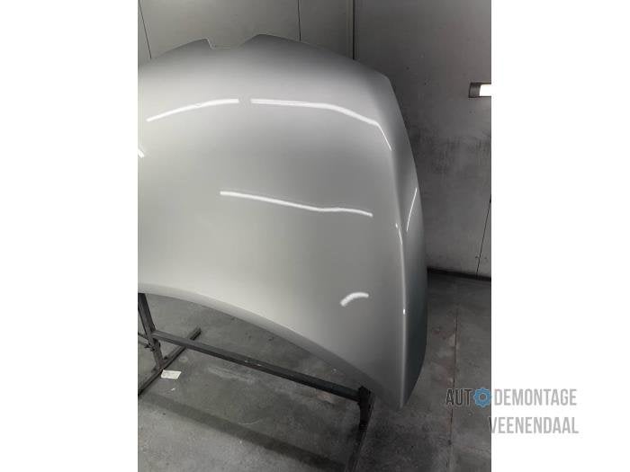 Motorkap van een Renault Clio (TED69), -, Renault, -, Nieuw