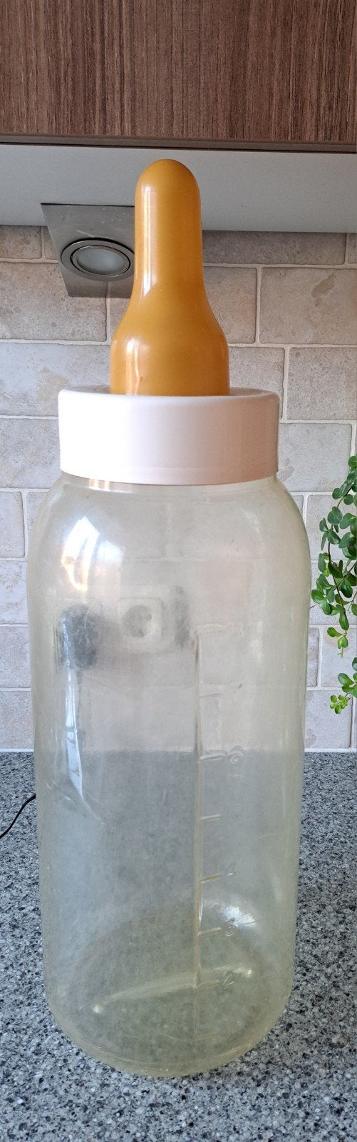 Mega grote vintage spaarpot babyfles zuigfles van de kermis, Ophalen of Verzenden, Gebruikt, Kunststof, Overige thema's