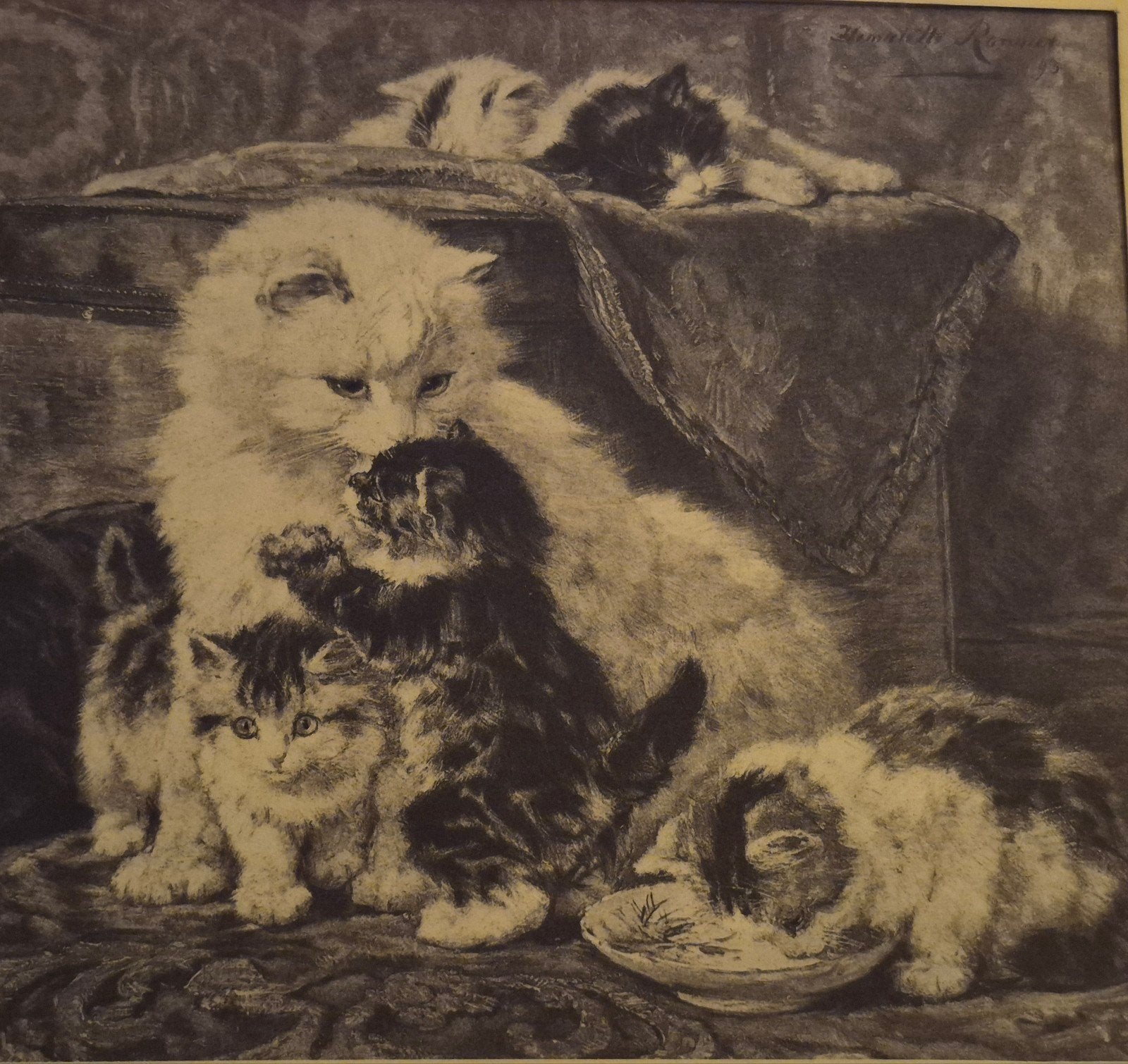 Grote antieke fotogravure Henriëtte Ronner-Knip (Katten) – c, Ophalen of Verzenden