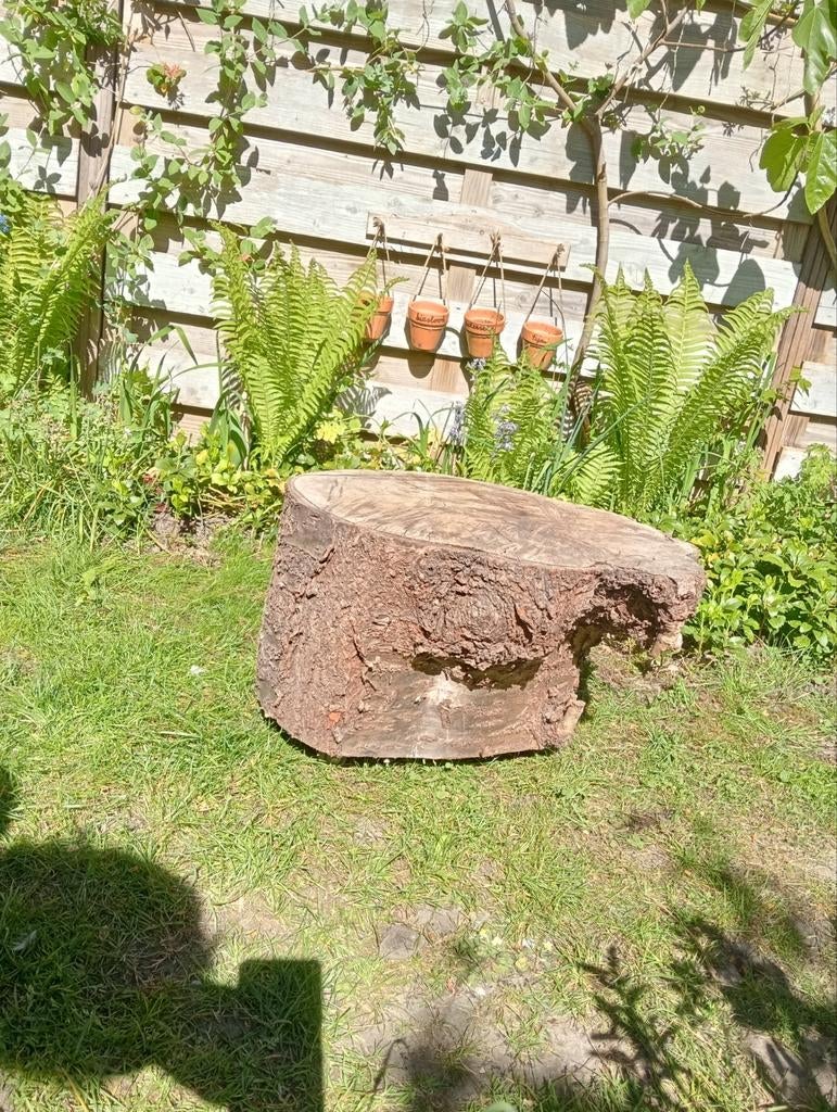 Unieke bijzettafel van een stronk van een Prunus, Ophalen, Rond, Minder dan 55 cm, 45 tot 60 cm