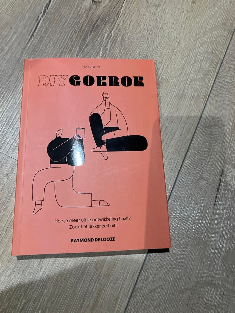 DIY Goeroe - Hoe je meer uit je ontwikkeling haalt, Ophalen of Verzenden, Zo goed als nieuw