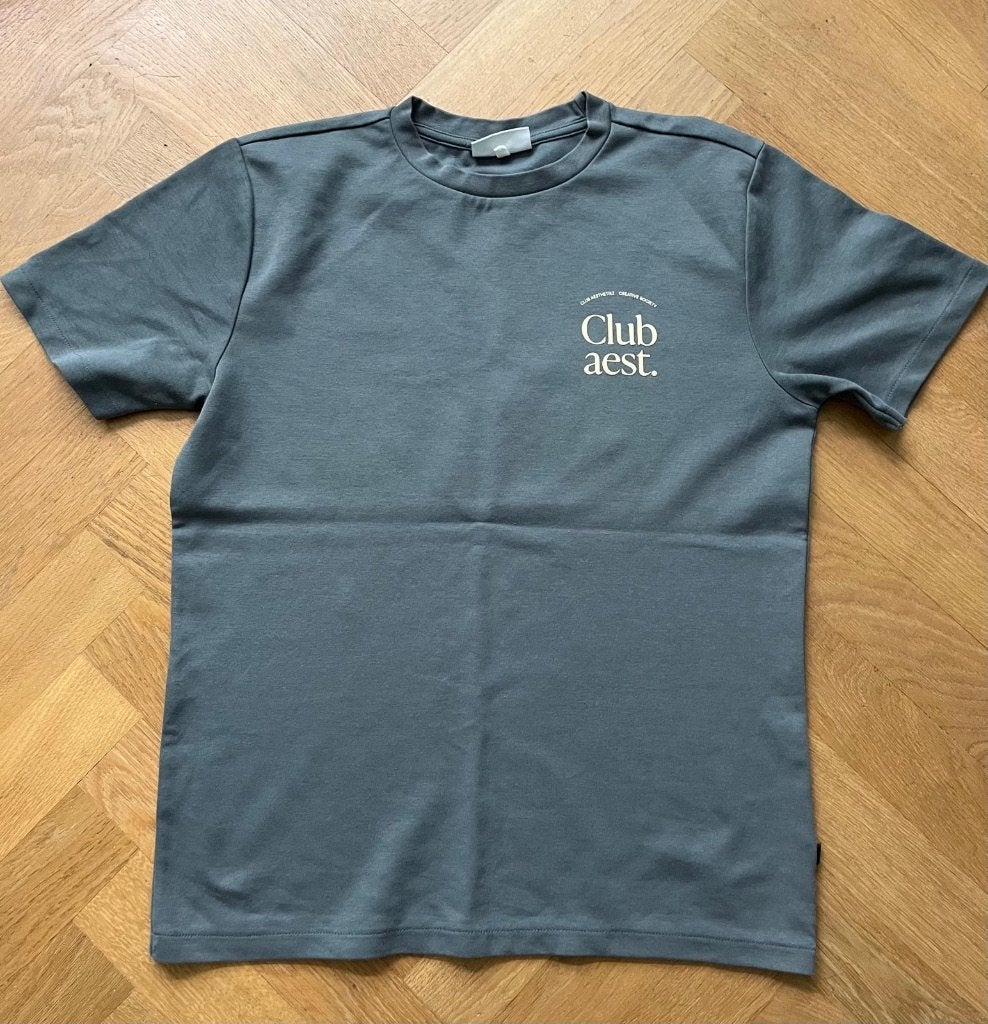 Dailey Aesthetikz T-shirt S grijs, The Sting, Ophalen of Verzenden, Korte mouw, Maat 36 (S)
