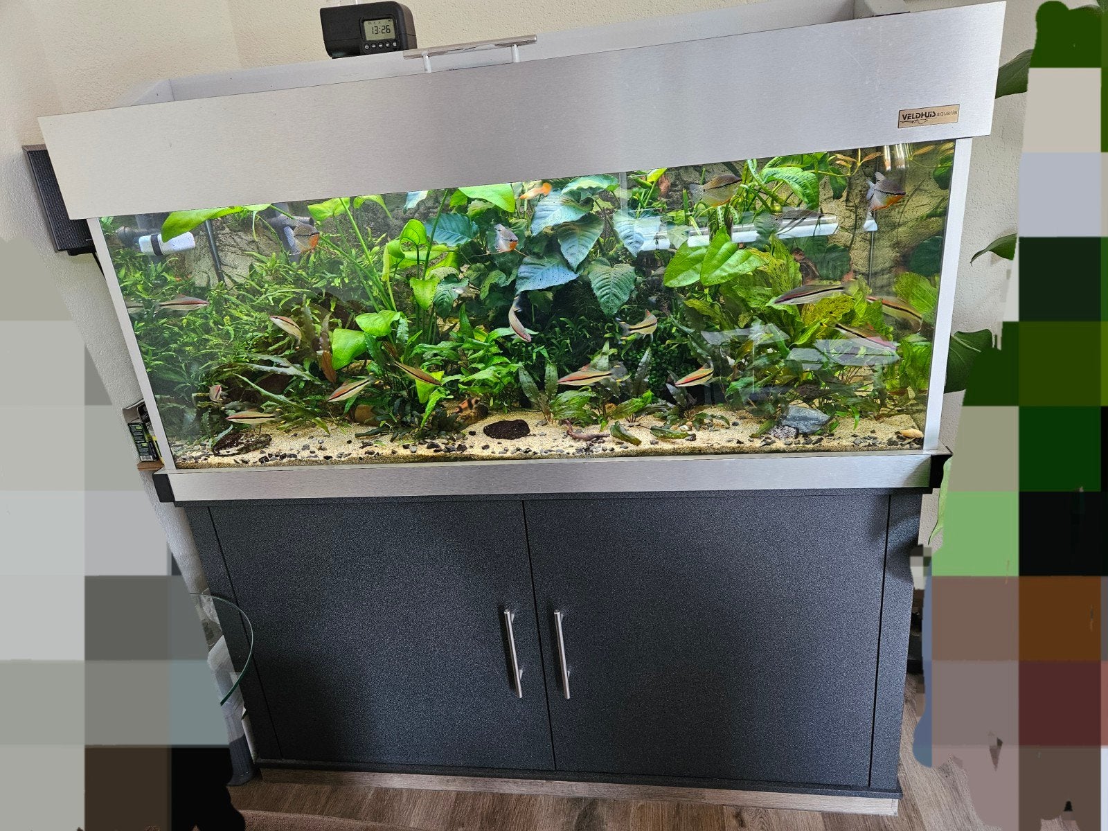 aquarium veldhuis 400l, Dieren en Toebehoren, Vissen | Aquaria en Toebehoren, Ophalen, Gebruikt, Overige merken, Gevuld zoetwateraquarium