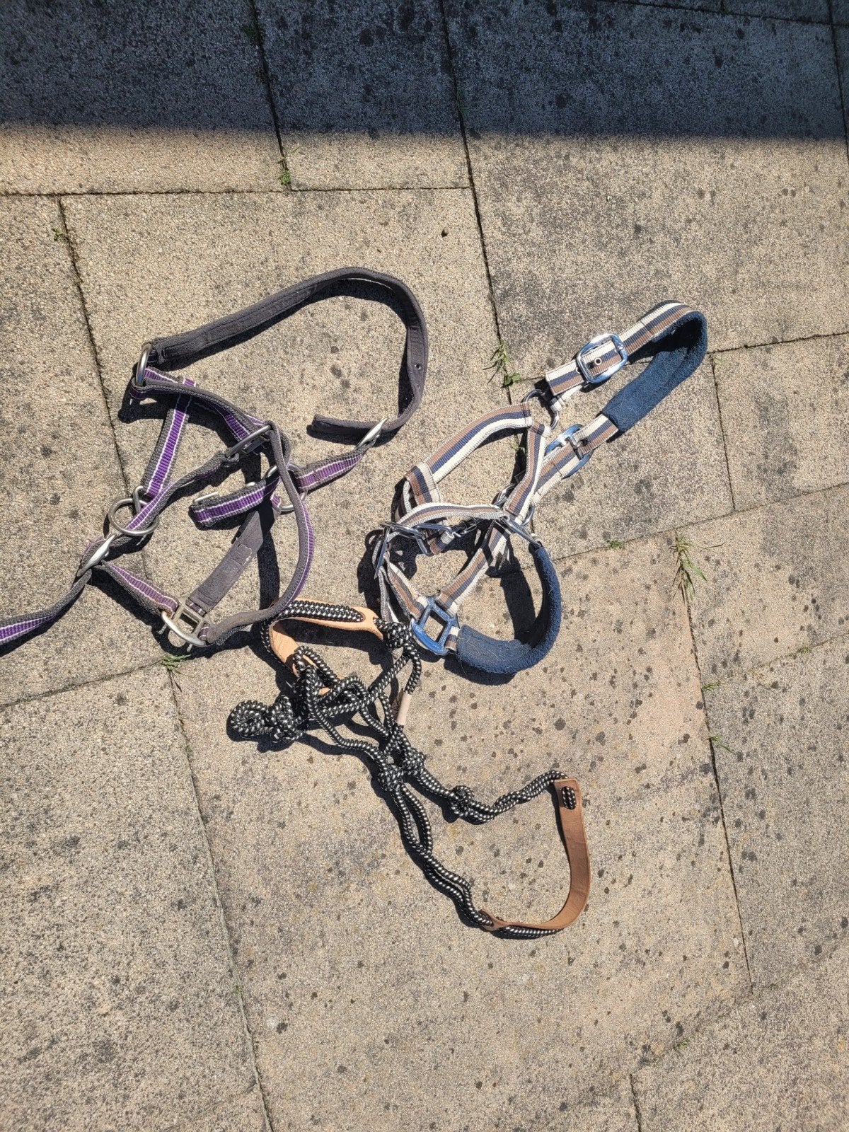 Halsters set van 3, Ophalen, Gebruikt