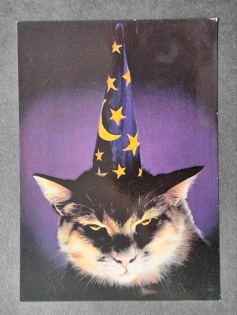 Duister kijkende kat met puntmuts met sterretjes. Bizarr., Ophalen of Verzenden, Hond of Kat