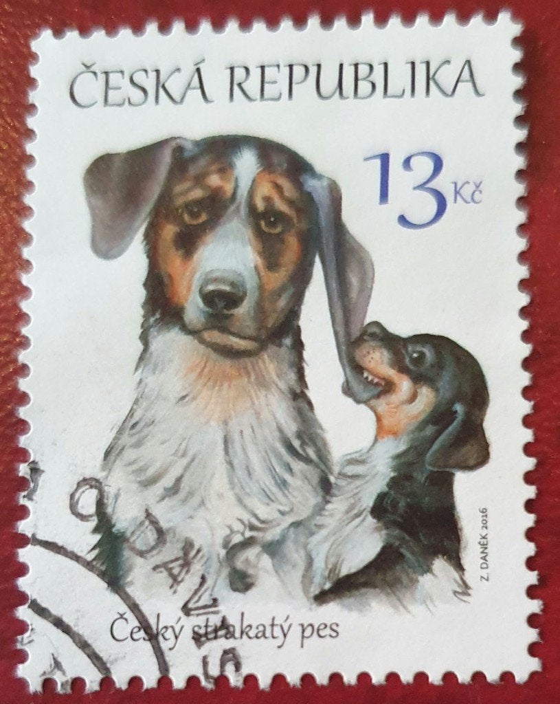 290-26 Ceska Republika 2016 / Cesky Strakaty Pes, Verzenden, Overige landen, Gestempeld