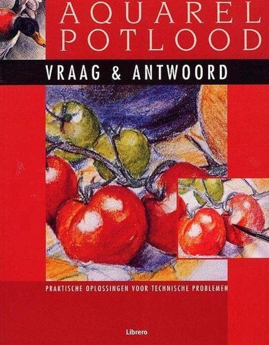 Aquarel Potlood Vraag & antwoord, Hobby en Vrije tijd, Ophalen of Verzenden, Zo goed als nieuw, Boek of Gids