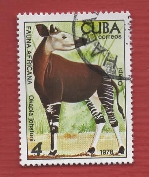 Fauna - Dieren - Okapi - Cuba - (jr.'78) - gebr, Ophalen of Verzenden, Gestempeld, Dier of Natuur