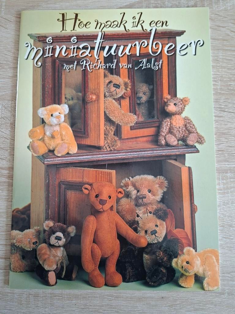 Hoe maak ik een miniatuurbeer met Richard van Aalst, Ophalen of Verzenden, Gelezen, Poppen maken, Richard van Aalst