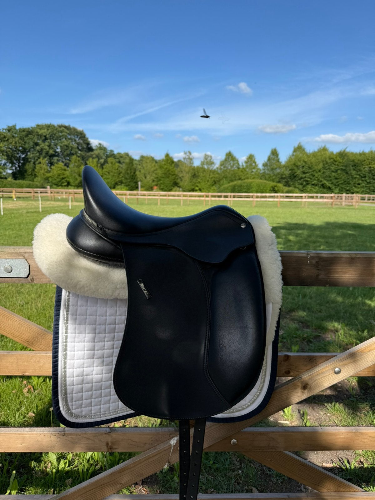 Wintec  pony dressurzadel 16,5 inch zgan, Dieren en Toebehoren, Ophalen, Zo goed als nieuw, Dressuur