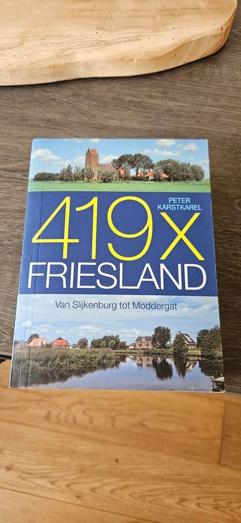 419x Friesland Van Slijkenburg tot Moddergat, Boeken, Ophalen of Verzenden