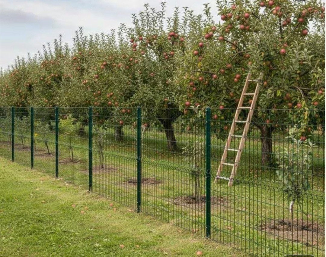 Antraciet Hekwerk 1.40m hg, 10m lang 3 stuks, Ophalen of Verzenden, IJzer, Gaashekwerk