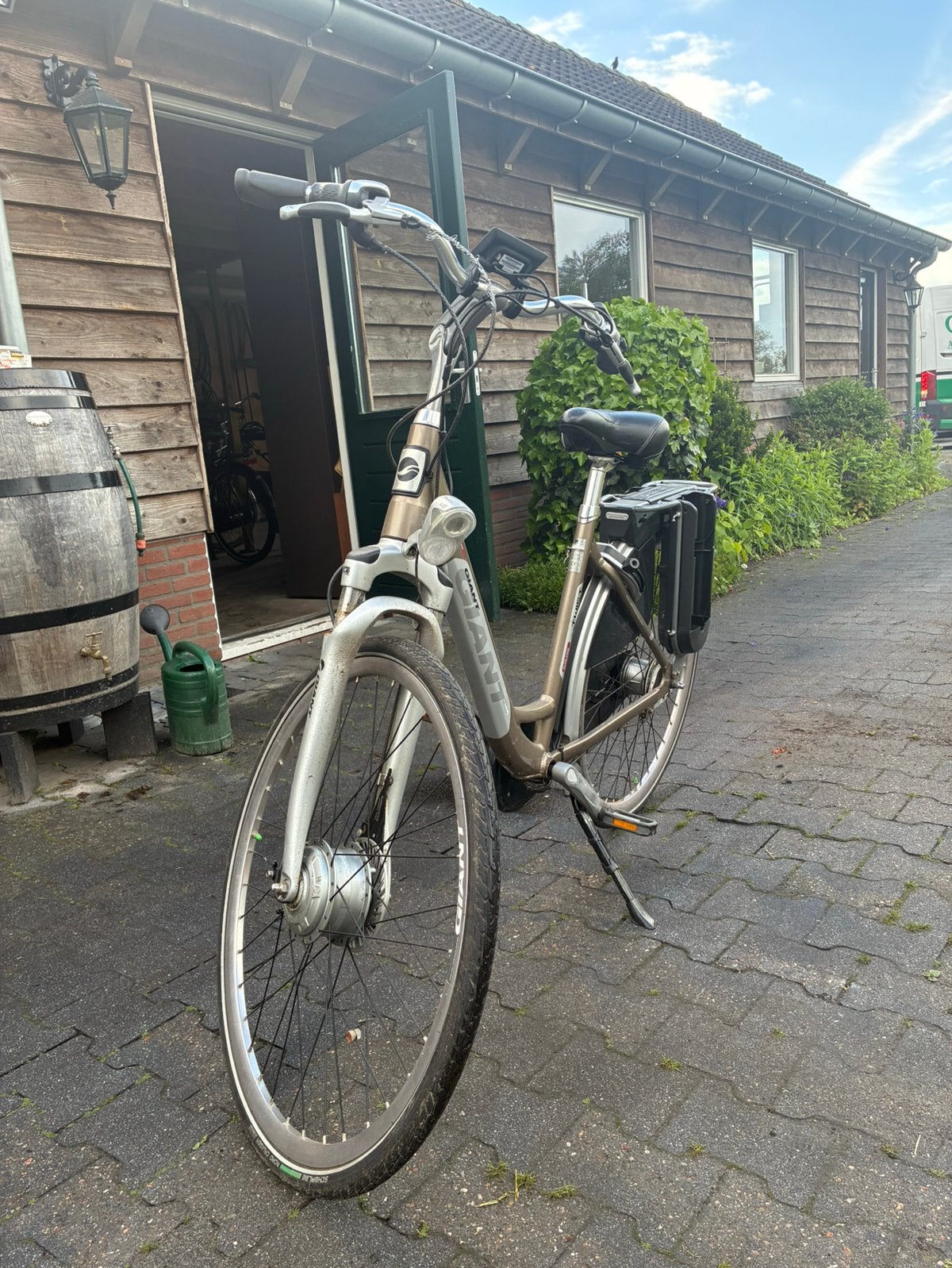 Giant twist go double power elektrische fiets, Fietsen en Brommers, 51 tot 55 cm, Ophalen, Gebruikt, Giant