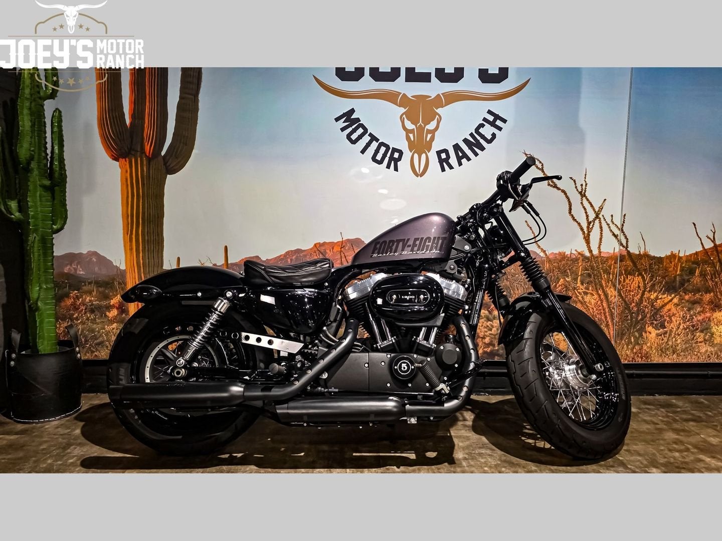 HARLEY-DAVIDSON SPORTSTER FORTY-EIGHT XL 1200 X (bj 2015), Motoren, Motoren | Harley-Davidson, 2 cilinders, HARLEY-DAVIDSON, Bedrijf