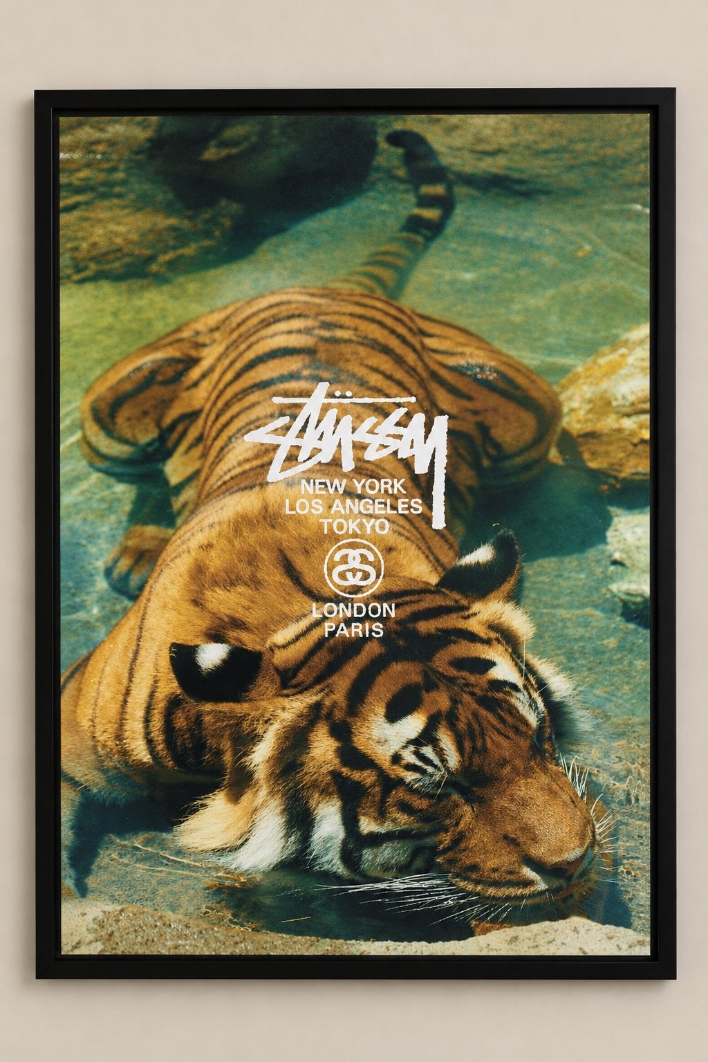 Stüssy-poster️, Ophalen of Verzenden, Papier/karton