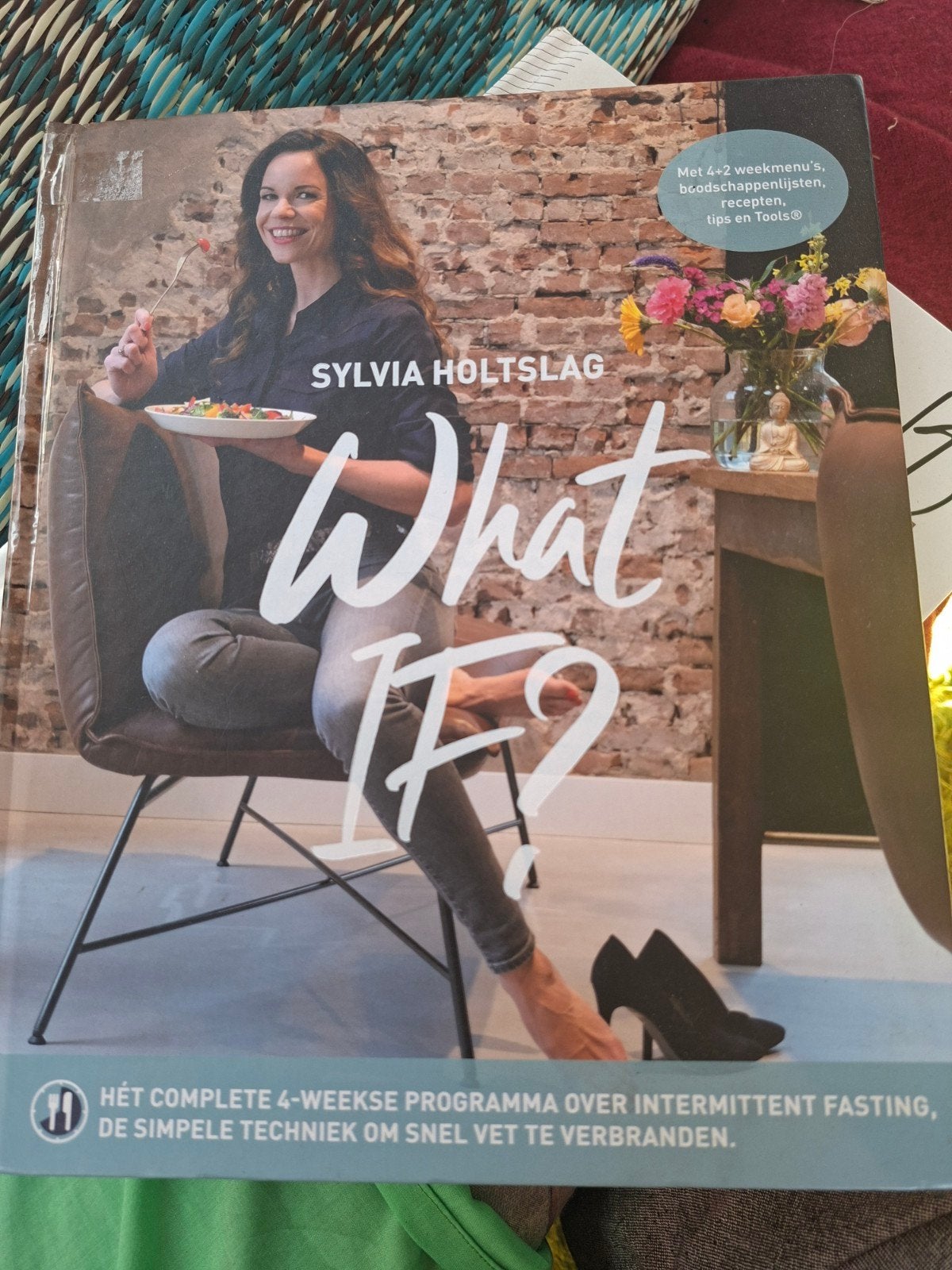 Sylvia Holtslag - What IF?, Ophalen of Verzenden, Zo goed als nieuw, Sylvia Holtslag