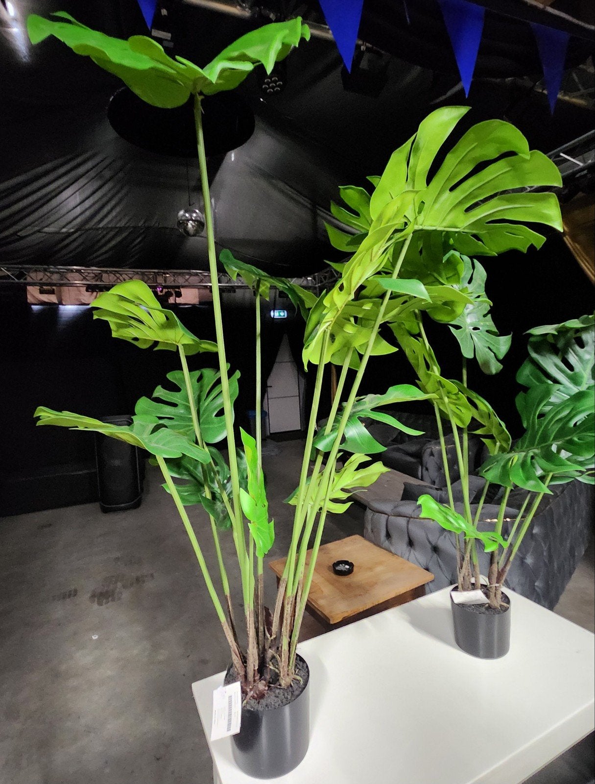4 kunst planten, Ophalen
