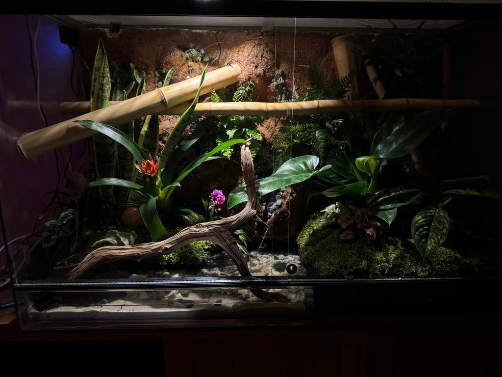 Terrarrium / paludarium, Ophalen of Verzenden, Zo goed als nieuw