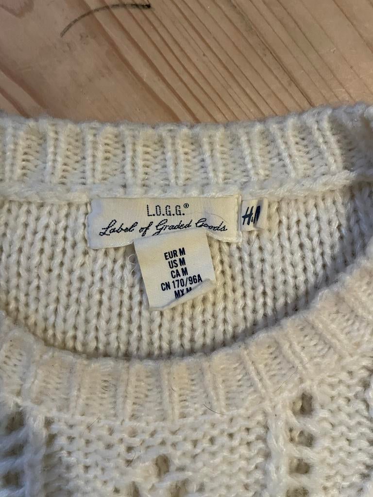 trui h&m maat M, Ophalen of Verzenden, Gedragen, Maat 38/40 (M), Beige