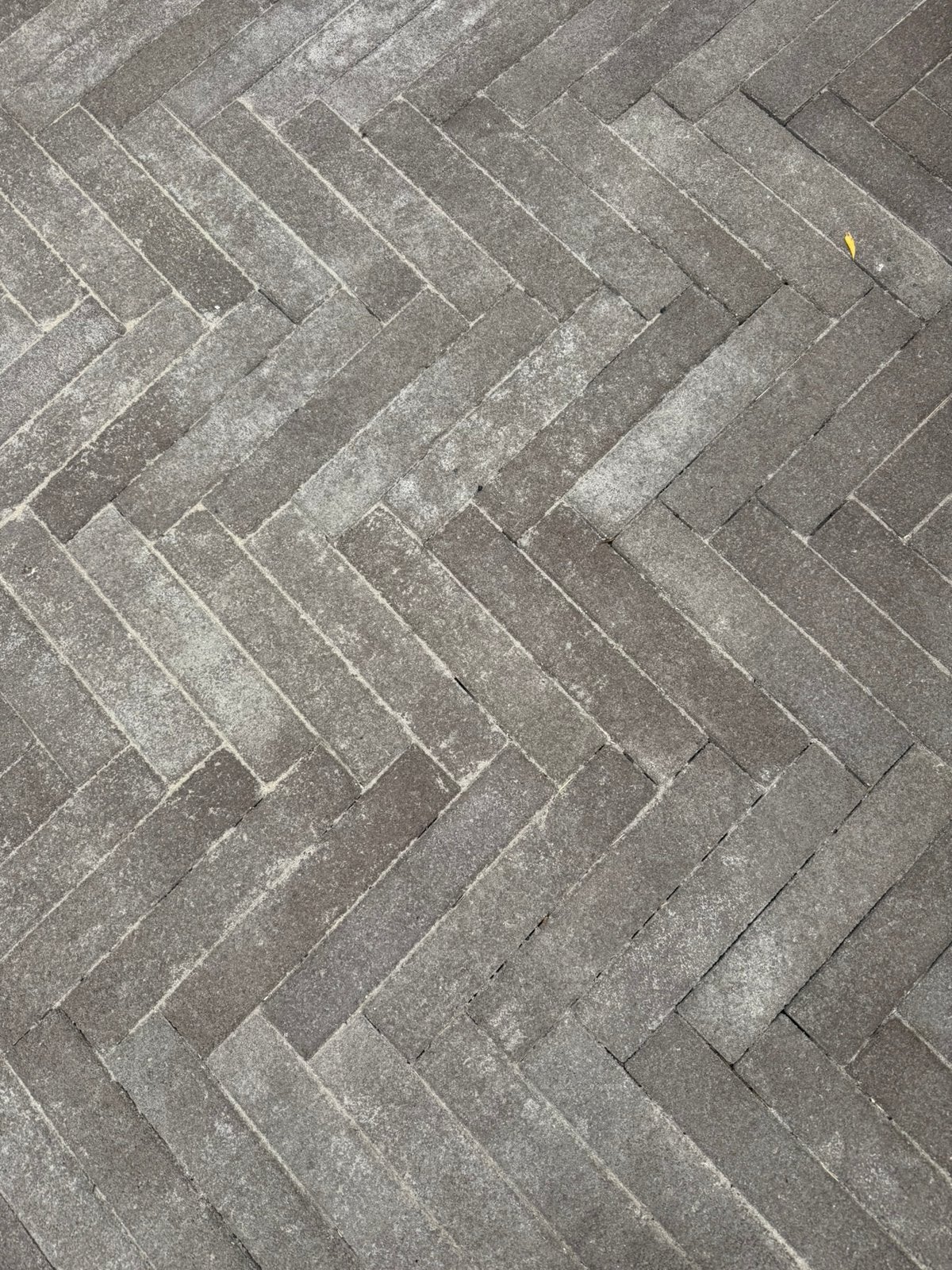 Nieuwe tuintegels 40x8x8, Tuin en Terras, Tegels en Klinkers, Ophalen, Nieuw, Beton, Terrastegels