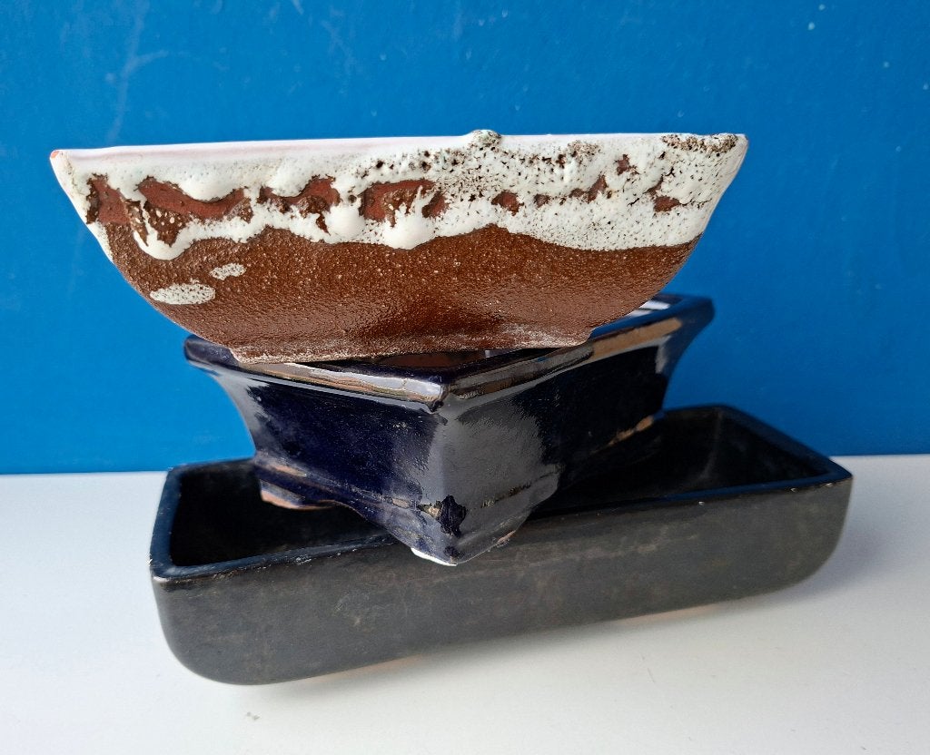 Bonsai cactus bakjes schaaltjes, Steen, Gebruikt, Minder dan 30 cm, Minder dan 60 cm