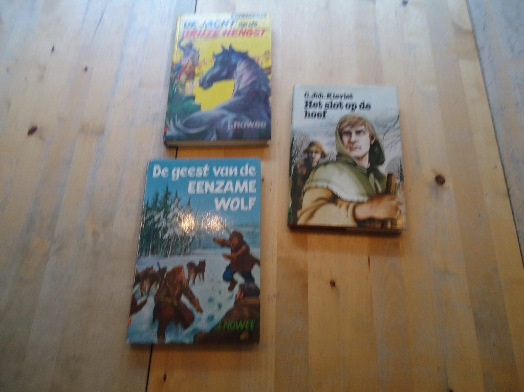 Spannende verhalen: Slot op de hoef, Grijze hengst (D), Boeken, Ophalen of Verzenden, Gelezen, Fictie algemeen