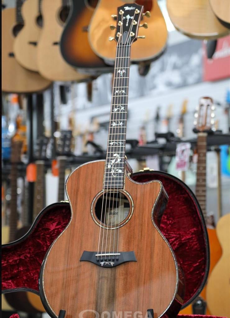 Taylor 914ce Special Edition