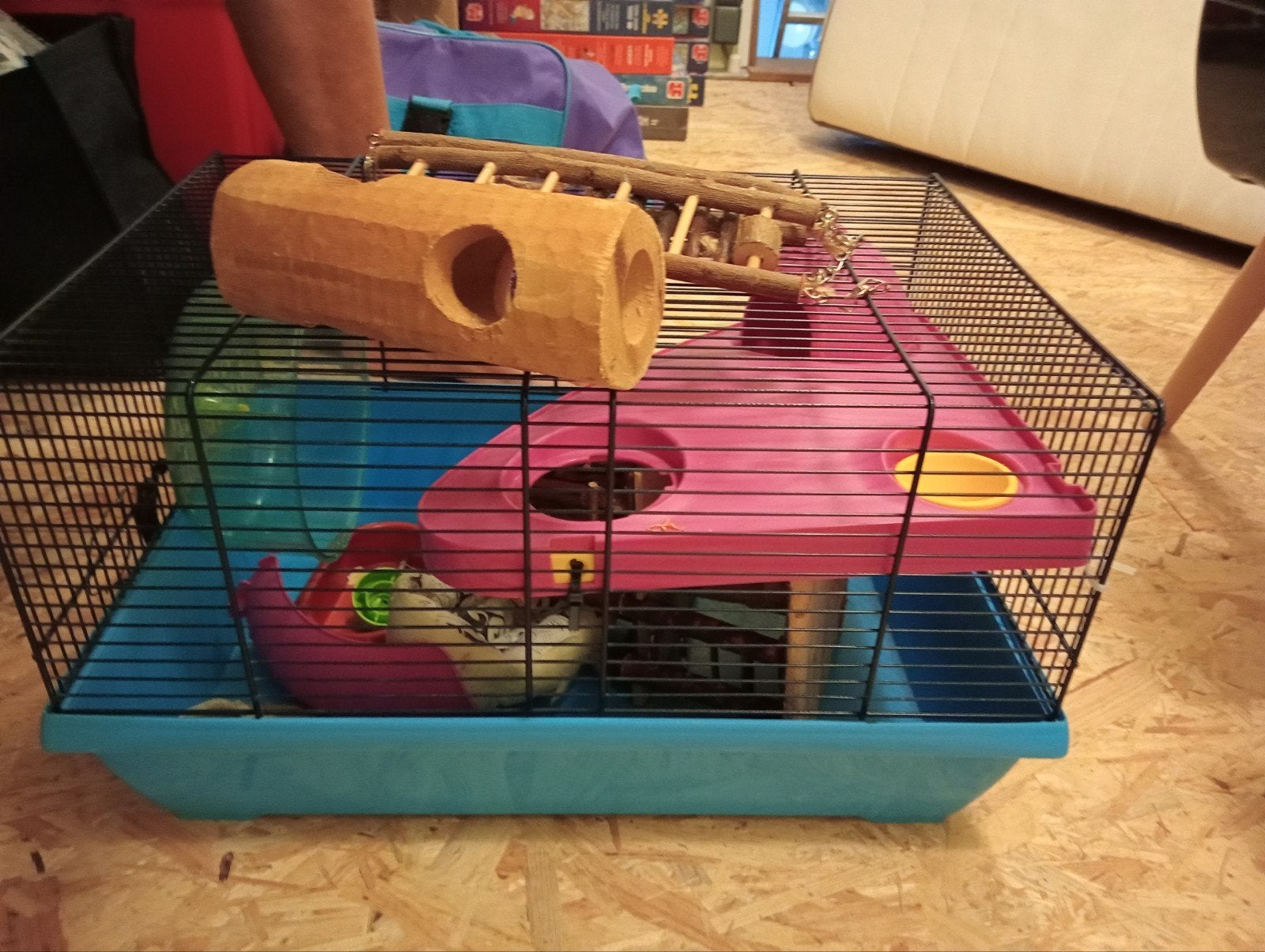 Hamsterbak zeer compleet, Ophalen of Verzenden, Zo goed als nieuw