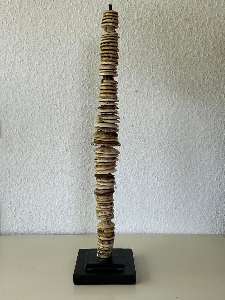 Lumi shell Moneystick conus schelpen Papua mieuw Guinea trib, Ophalen of Verzenden