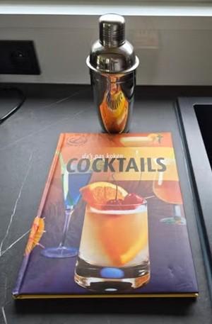 Cocktail shaker RVS + boek Cocktails Da's pas koken, Ophalen, Overige typen, Zilver, Zo goed als nieuw