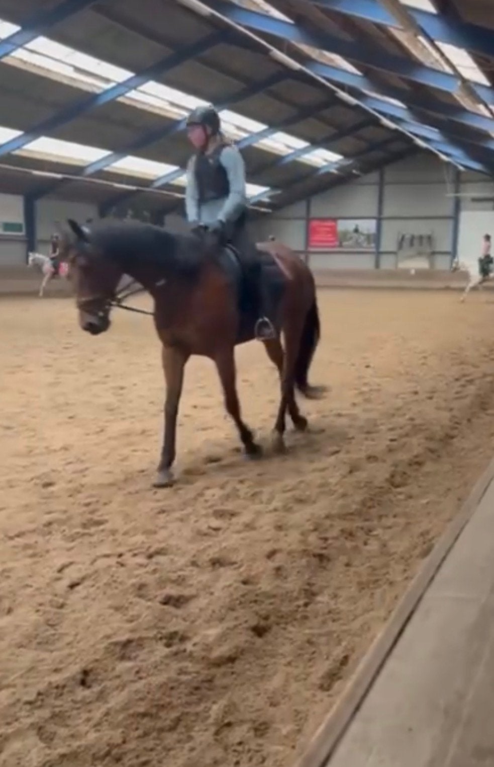 Lease/ verzorg paard of pony gezocht!, Ophalen, Zo goed als nieuw