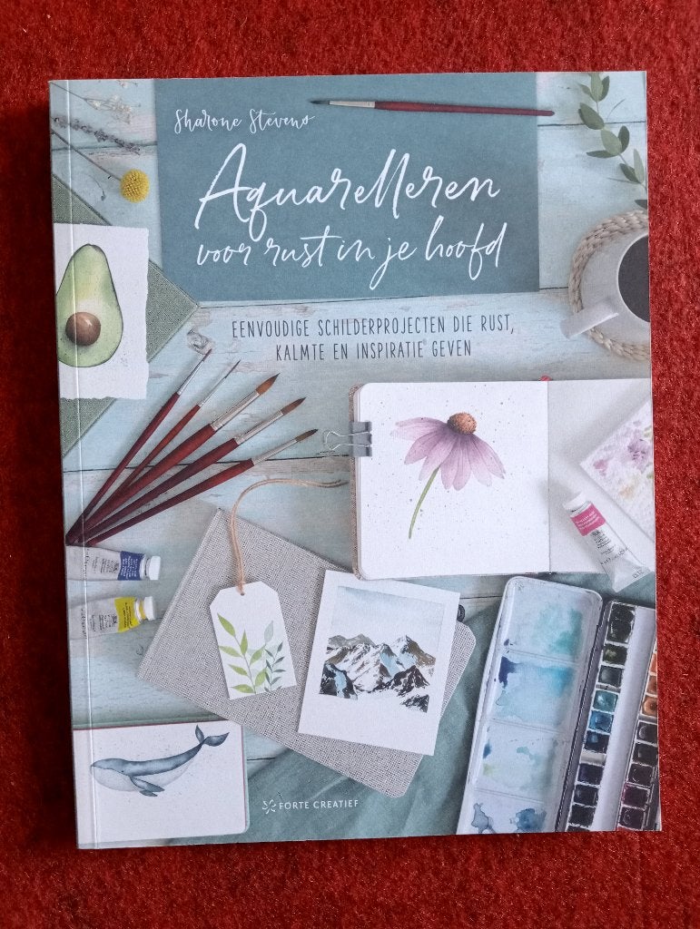 Te koop Aquarelleren voor rust in je hoofd, Hobby en Vrije tijd, Schilderen, Ophalen of Verzenden, Zo goed als nieuw, Overige typen