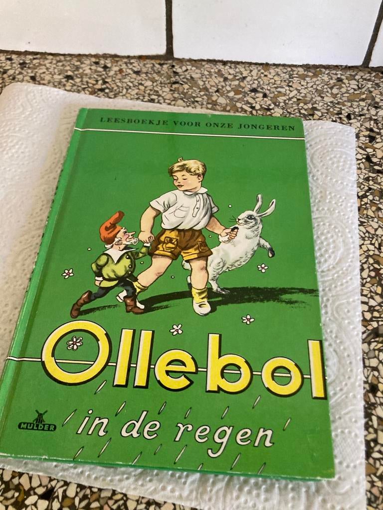 Ollebol in de regen, Ophalen of Verzenden, Zo goed als nieuw, Fictie algemeen