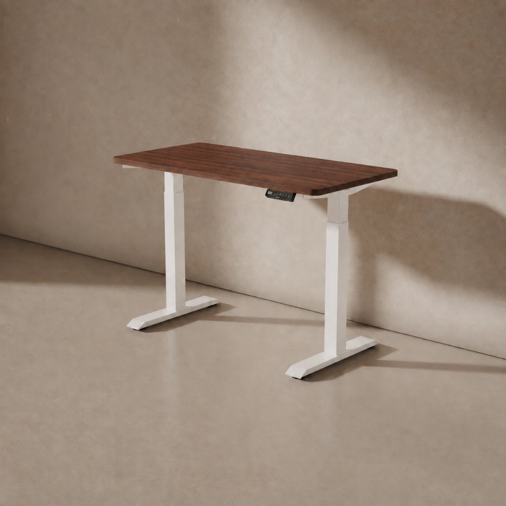 Elektrisch zit-sta bureau 160x80 - IKEA/FlexiSpot, Ophalen, Zit-sta bureau, Gebruikt, Hout