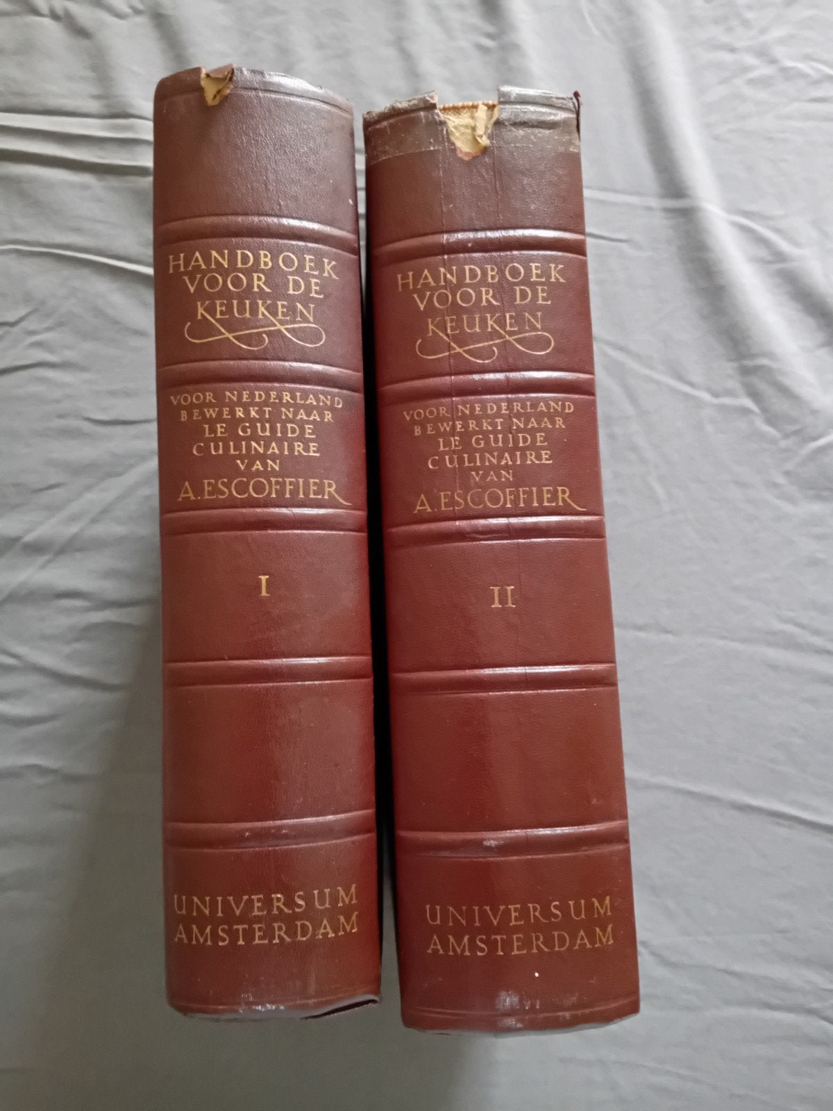 Handboek voor de Keuken - A. Escoffier (2 delen), Boeken, Voorgerechten en Soepen, A. Escoffier, Europa, Ophalen
