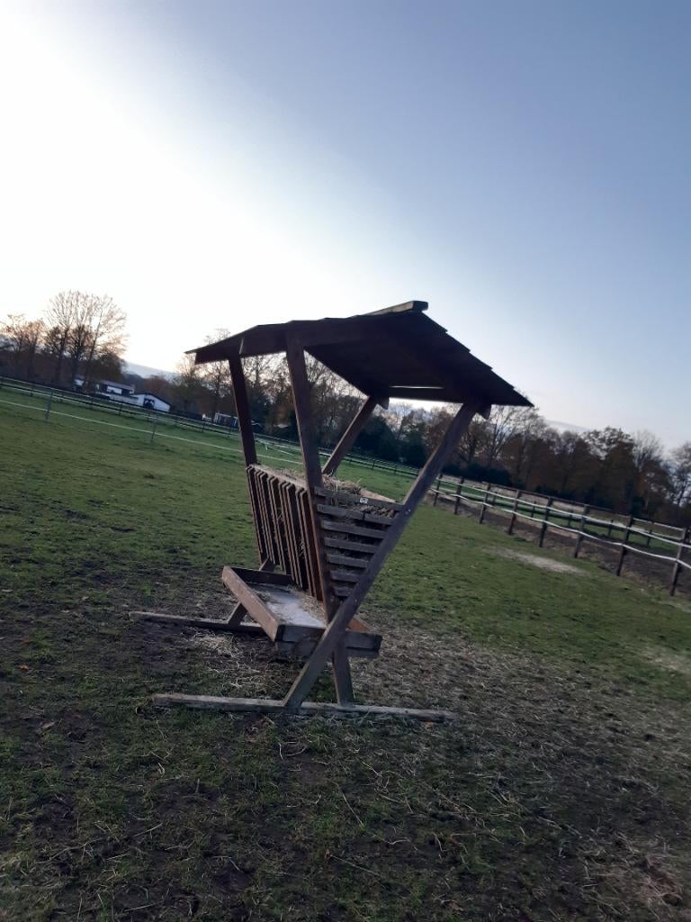 Pensionstal, Weidegang, 2 of 3 paarden of pony's