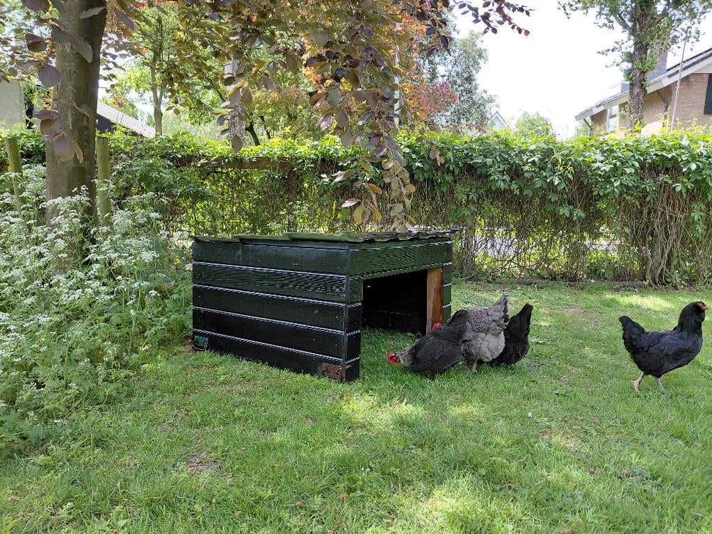 schuilhok voor kippen of andere kleine dieren, Eekhoorn, Hok, Ophalen, Minder dan 60 cm