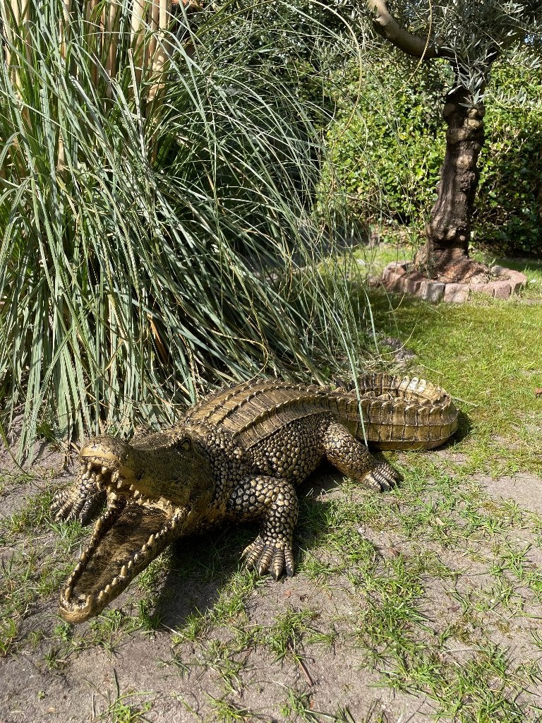 Krokodil Antiek goud, tuin, zwembad, vijver, boerderij 100cm, Ophalen, Nieuw, Kunststof, Dierenbeeld