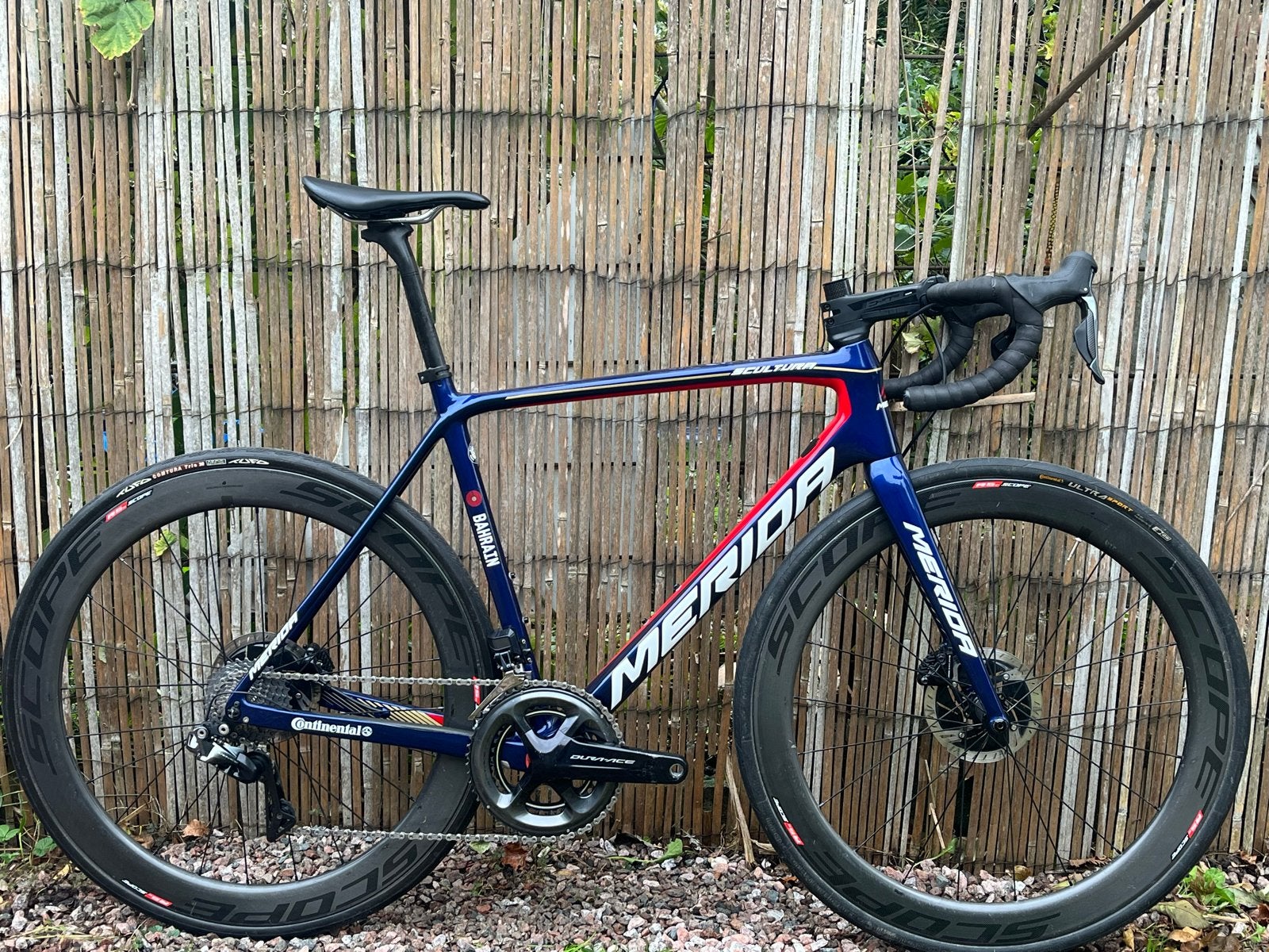 Merida Scultura Team Edition, Overige merken, 28 inch, Carbon, Heren