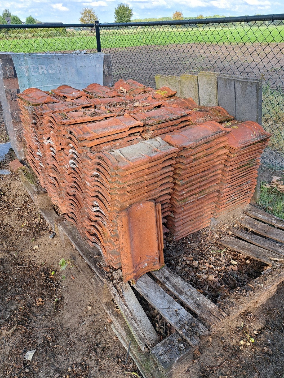 rode dakpannen, Doe-het-zelf en Verbouw, Dakpannen en Dakbedekking, Ophalen, Gebruikt, Steen of Klei, 15 m² of meer