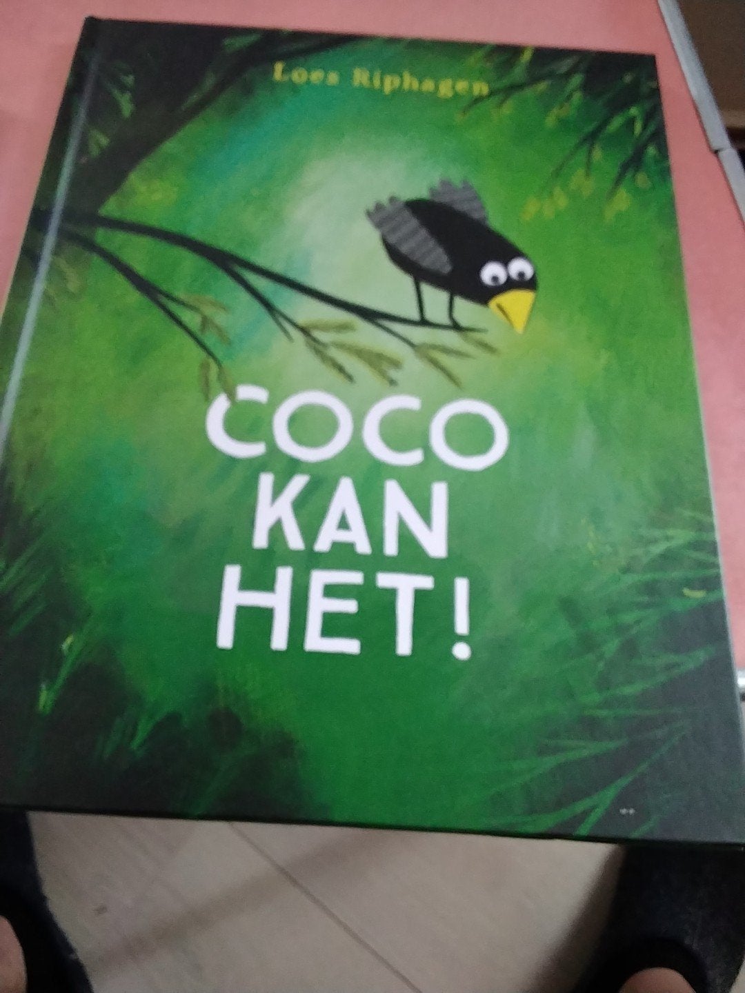 loes riphagen Coco kan het € 7.50, Ophalen of Verzenden, Gelezen, Fictie algemeen
